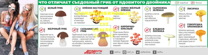 Галлюциногенные грибы Magic Shrooms  наркотики  Исилькуль 